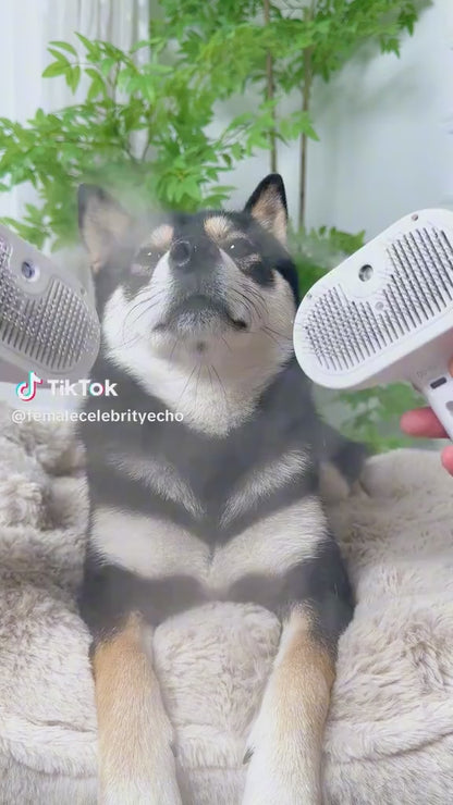 Peine de Aseo a Vapor para Mascotas