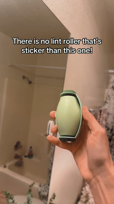 Pocket Pet Hair Remover Ball