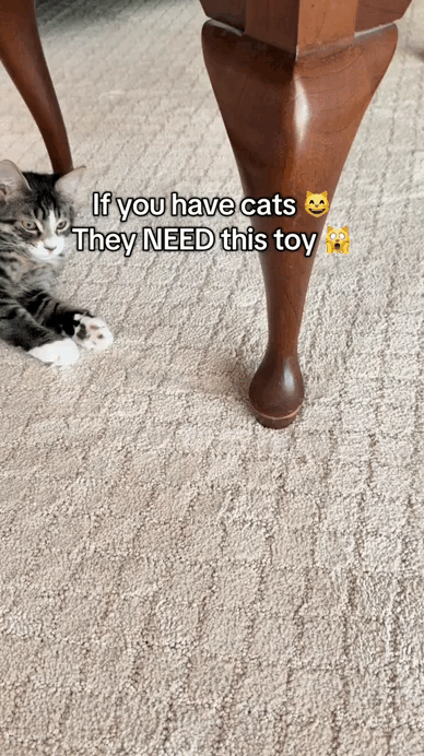 Interactive Cat Exercise Wheel